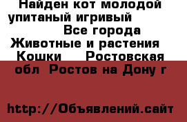 Найден кот,молодой упитаный игривый 12.03.2017 - Все города Животные и растения » Кошки   . Ростовская обл.,Ростов-на-Дону г.